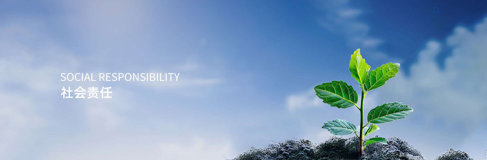 Social Responsibility