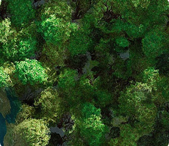 Environmental Protection and Sustainability